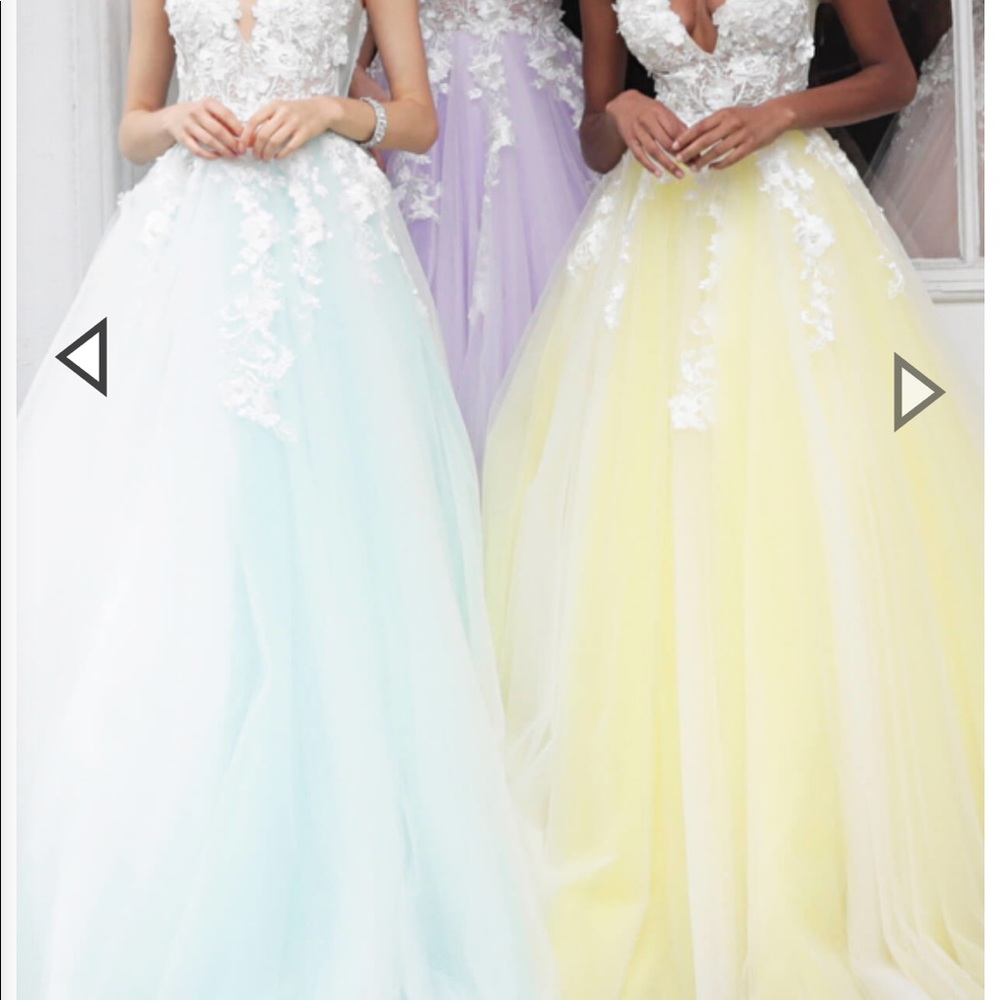 Plus Size Prom Dress - Picture 2 of 6